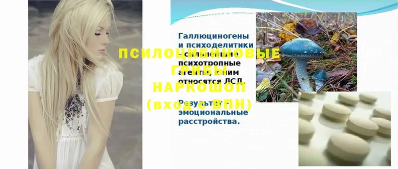 что такое   Ипатово  Псилоцибиновые грибы Psilocybine cubensis 